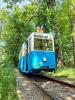 Stary niebieski tramwaj jedzie torowiskiem w parku. Wokół drzewa i zieleń.